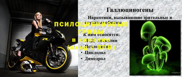 винт Алзамай