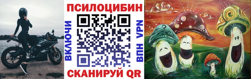 Купить закладки  Верхний Тагил  Галлюциногенные грибы Cubensis 